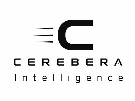 CEREBERA SYSTEMS LTD